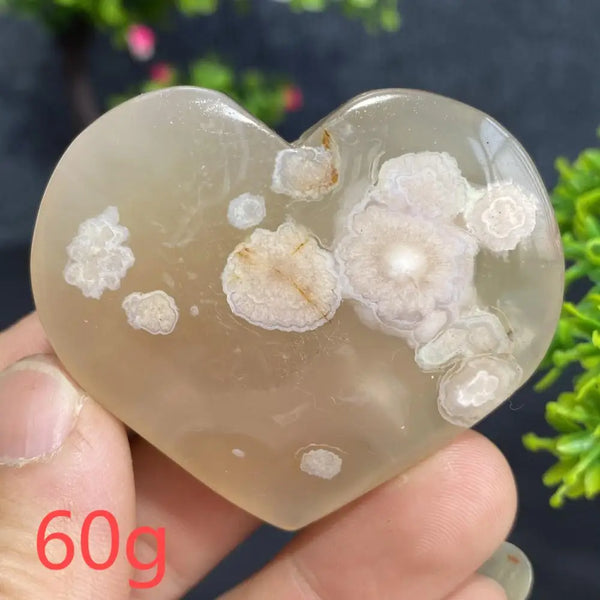 Pink Cherry Blossom Agate-ToShay.org