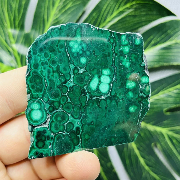 Green Eyes Malachite-ToShay.org
