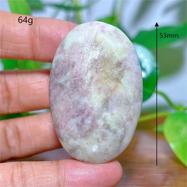 Rainbow Sodalite Palm Stone-ToShay.org