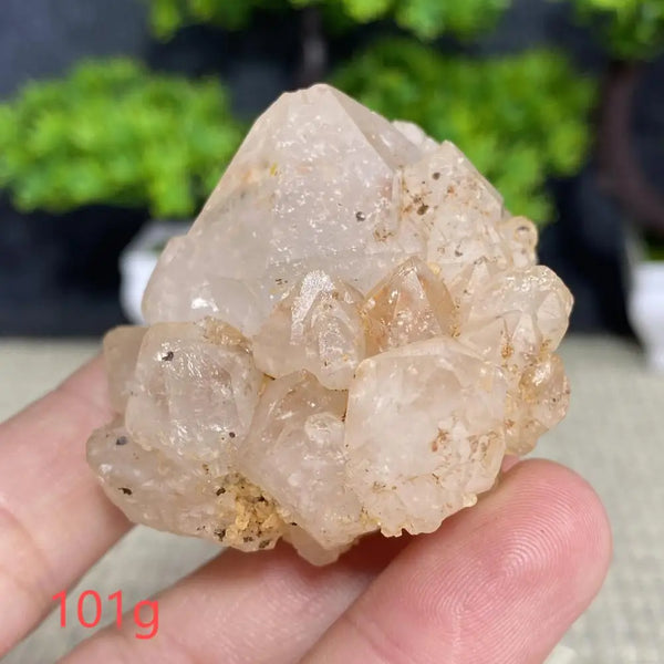 White Quartz Crystal Cluster-ToShay.org