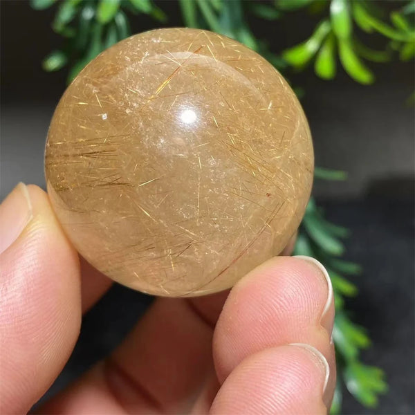 Gold Rutilated Quartz Ball-ToShay.org