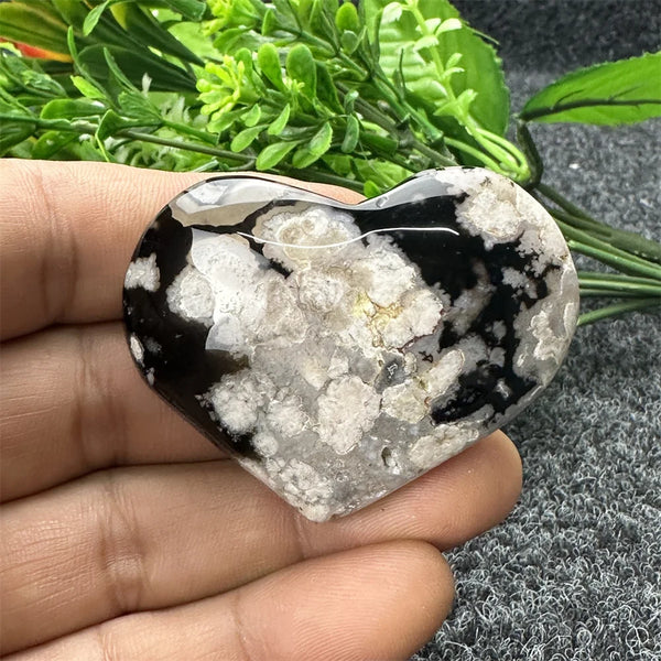 Black Cherry Blossom Agate-ToShay.org