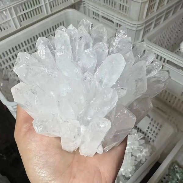 White Quartz Crystal Cluster-ToShay.org
