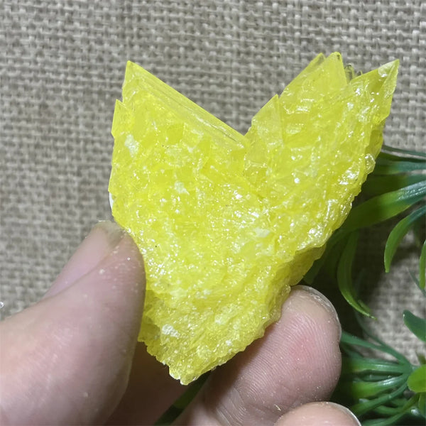 Yellow Sulphur Quartz-ToShay.org