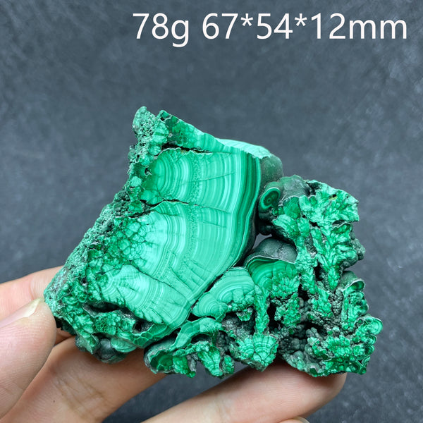 Green Malachite Slice-ToShay.org