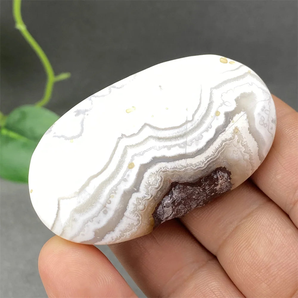 Red Lace Crazy Agate-ToShay.org