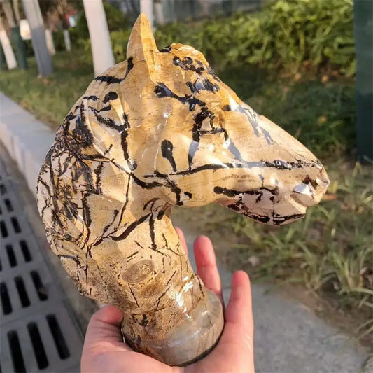 Yellow Picture Stone Horse Head-ToShay.org