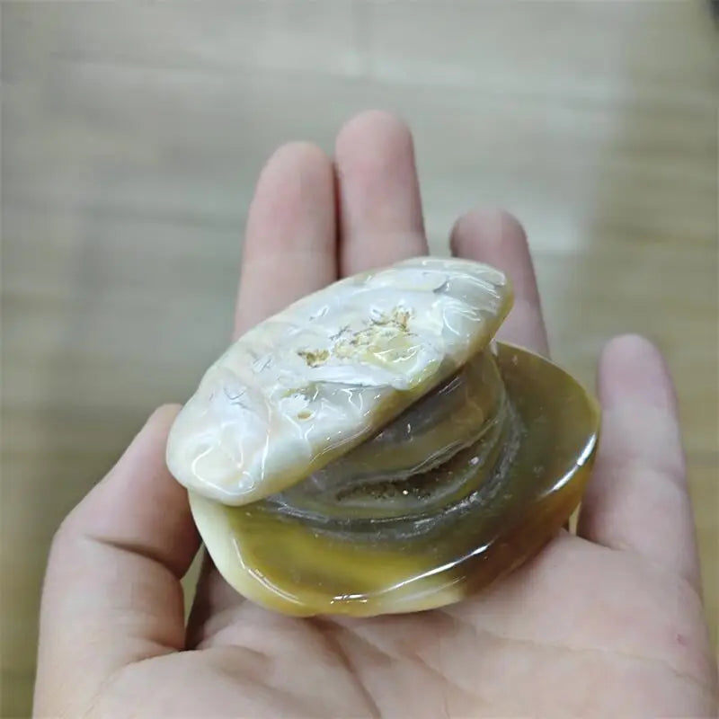 Natural Carnelian Shell Pearl Carving Cute Animal Craft Home Office Decoration Ornament Holiday Gift 1pcs-ToShay.org