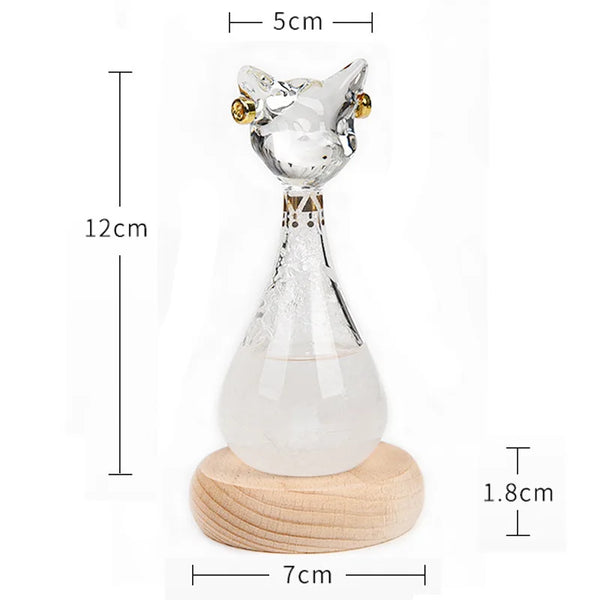Cat Storm Bottle-ToShay.org