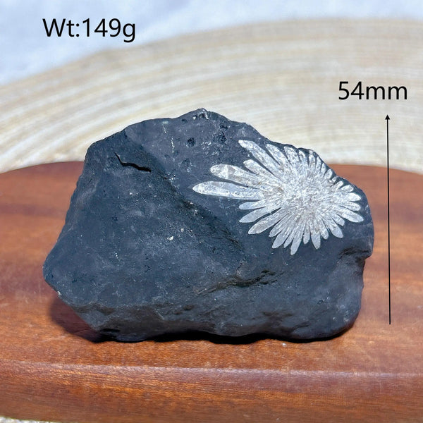 Black Chrysanthemum Raw Stone-ToShay.org