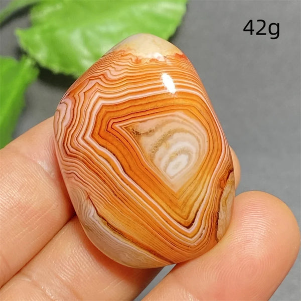 Orange Silk Lace Agate-ToShay.org