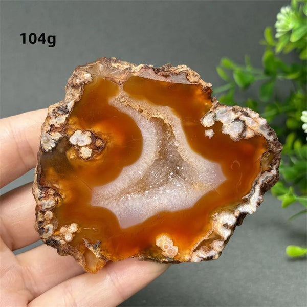 Red Cherry Blossom Agate-ToShay.org