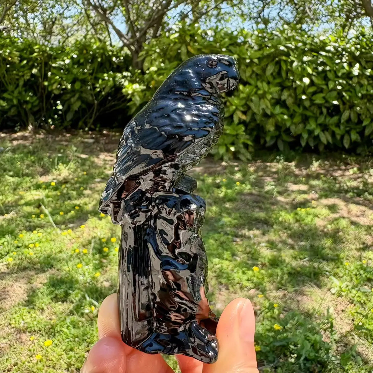 Mixed Quartz Parrots-ToShay.org