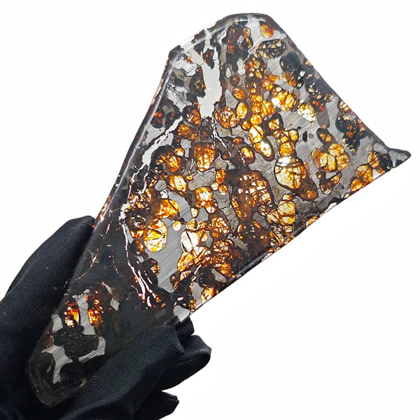 Olive Meteorite Slice-ToShay.org