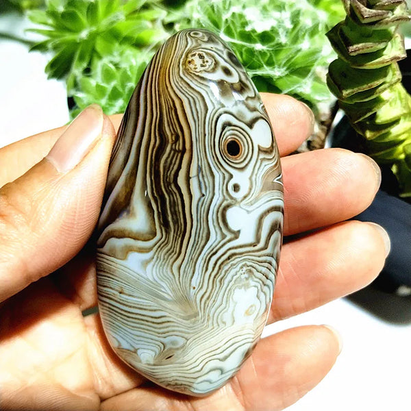 Red Flower Agate Palm Stone-ToShay.org