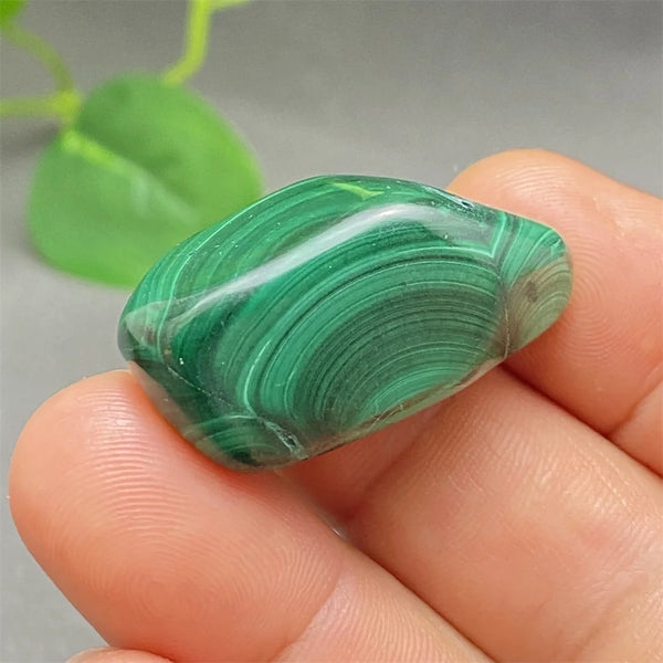 Green Malachite Tumbled Stone-ToShay.org