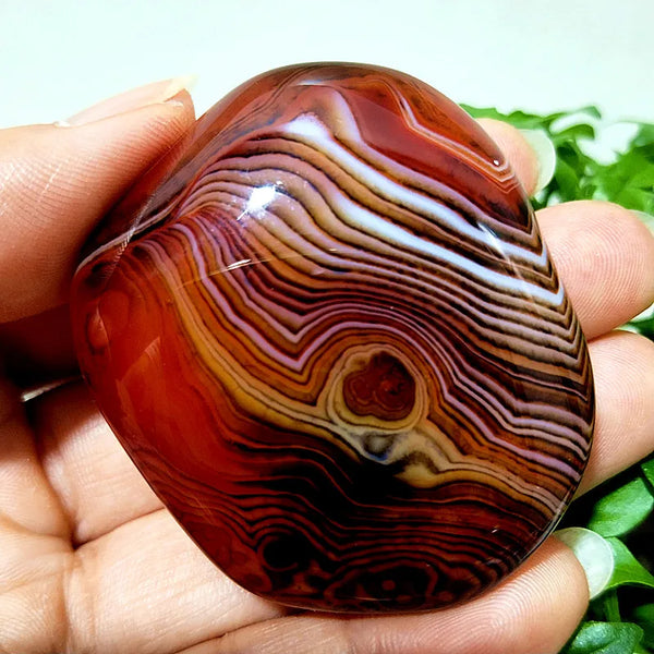 Red Sardonyx Lace Agate-ToShay.org