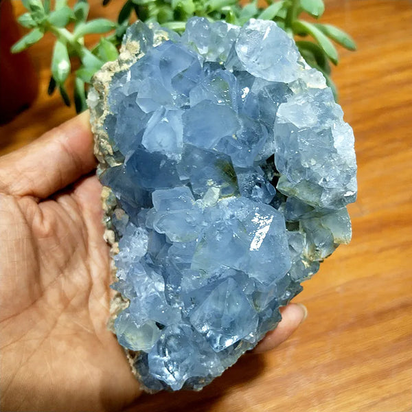 Blue Celestine Geode Crystal-ToShay.org