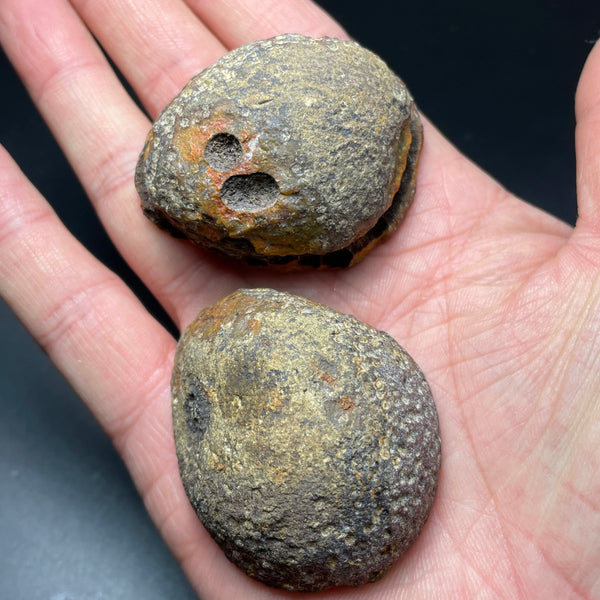 Yellow Sardonyx Rough Egg-ToShay.org