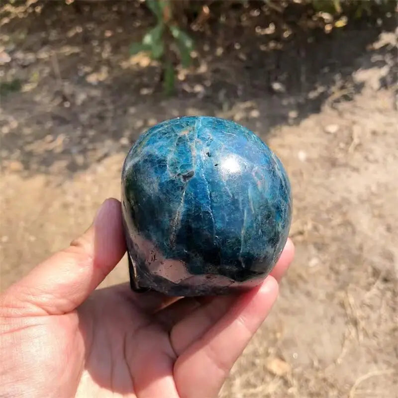 Blue Apatite Skull-ToShay.org