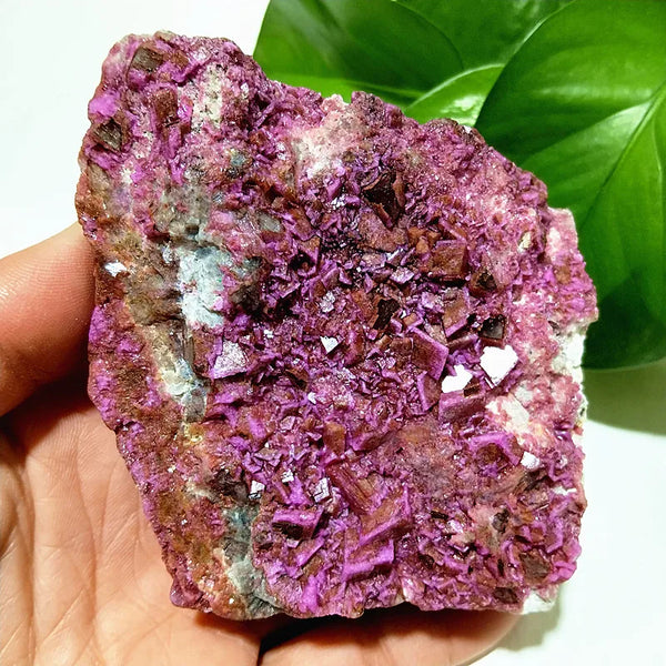 Pink Cobaltocalcite Raw Rock-ToShay.org