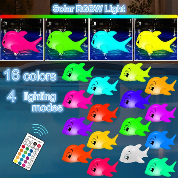 Floating Dolphin Lights-ToShay.org