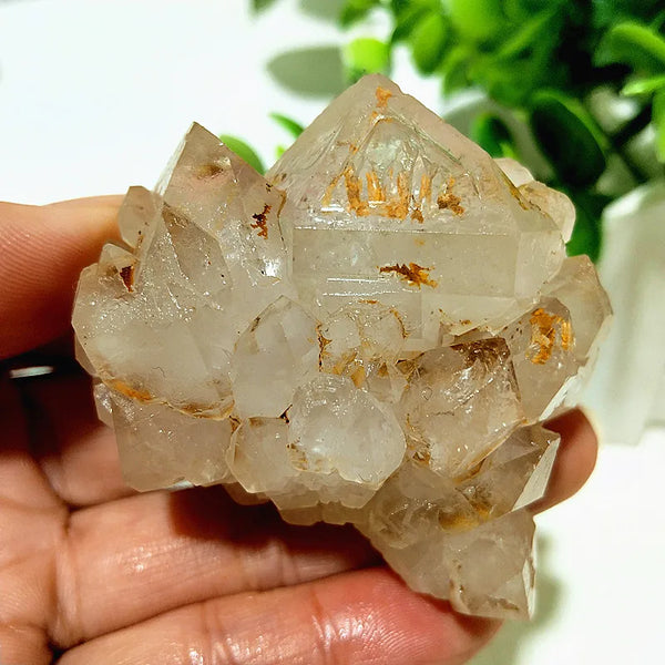 Yellow Mud Sparkling Clusters-ToShay.org