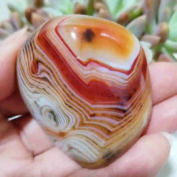 Red Sardonyx Lace Agate-ToShay.org
