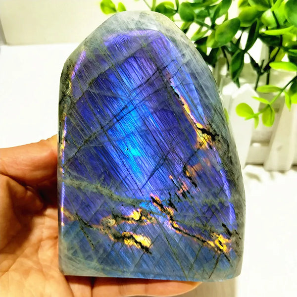 Violet Labradorite Crystal-ToShay.org
