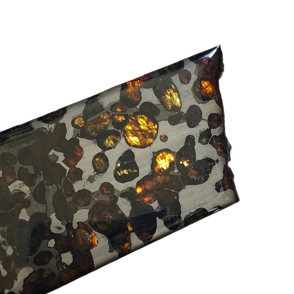 Olive Meteorite Slice-ToShay.org