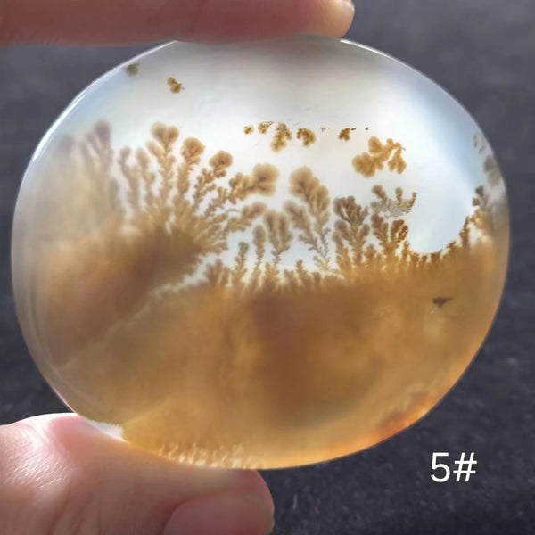 White Onyx Ocean Chalcedony-ToShay.org