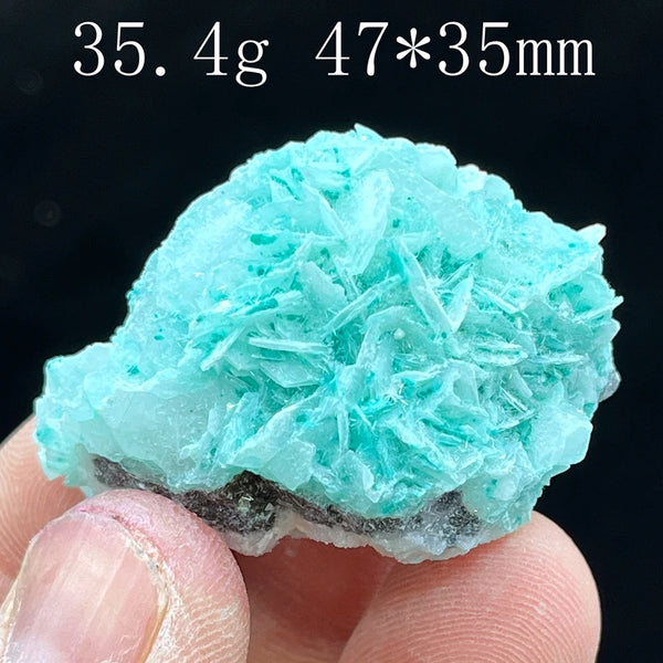 Green Antlerite Quartz Crystal-ToShay.org