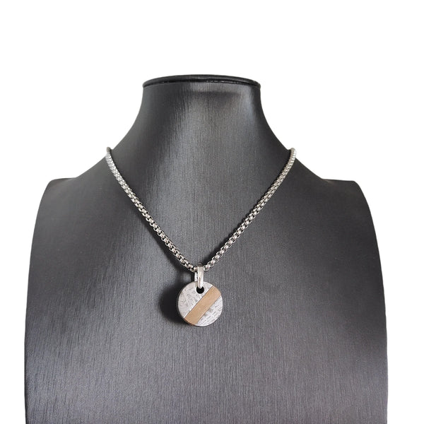 Iron Meteorite Pendant-ToShay.org