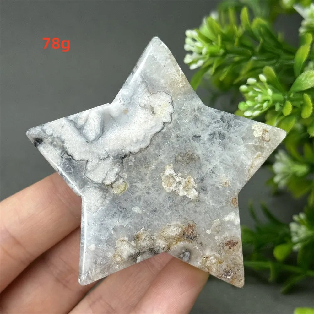 Black Cherry Blossom Agate-ToShay.org
