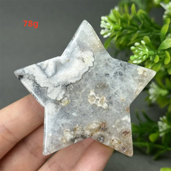 Black Cherry Blossom Agate-ToShay.org