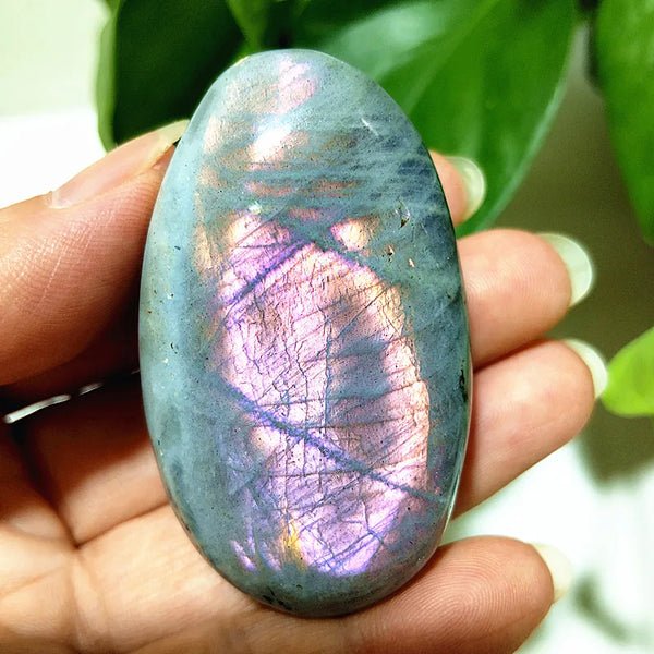 Violet Light Labradorite-ToShay.org