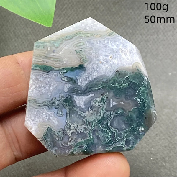 Green Water Plant Agate-ToShay.org