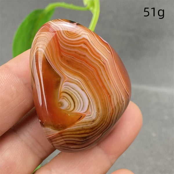 Orange Silk Lace Agate-ToShay.org