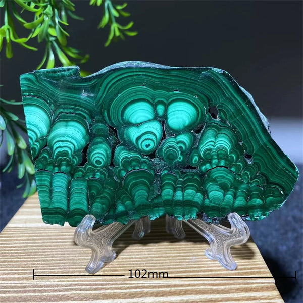 Green Malachite Slice-ToShay.org