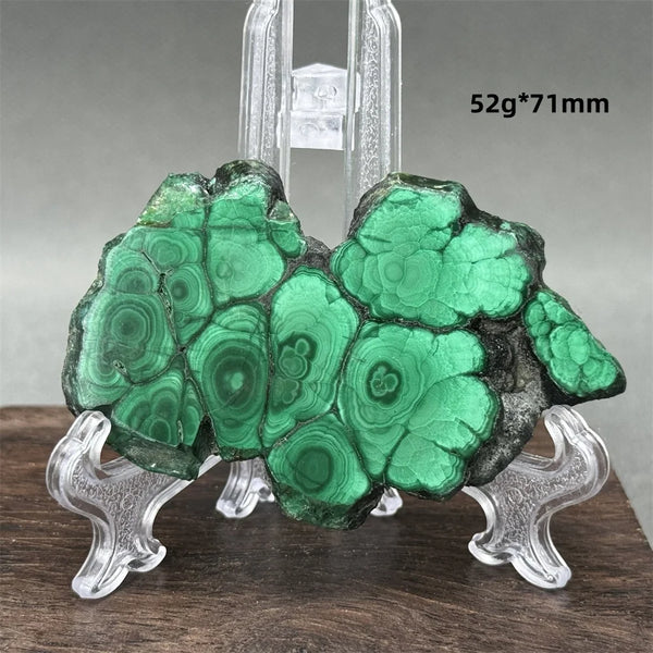 Green Malachite Raw Slice-ToShay.org