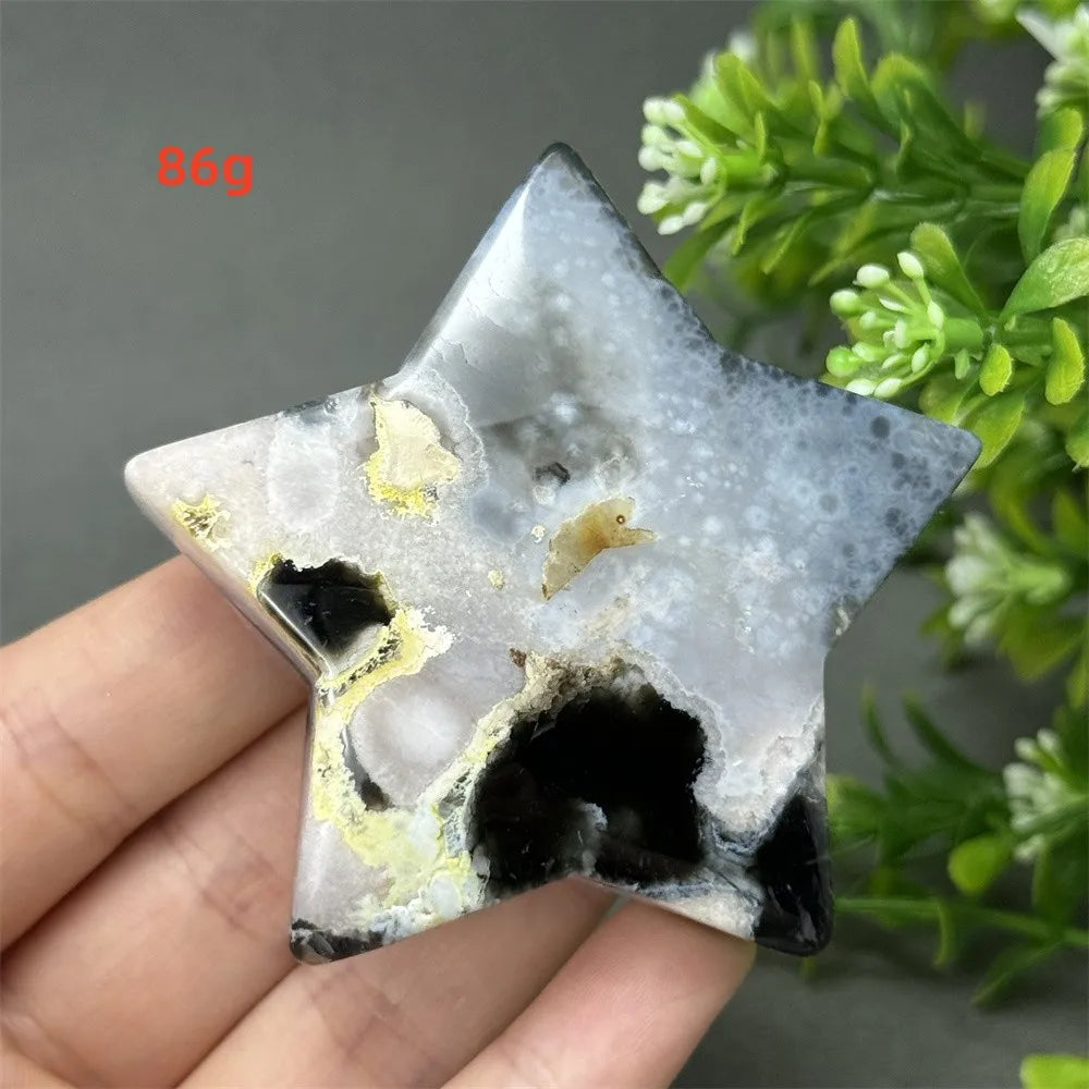 Black Cherry Blossom Agate-ToShay.org