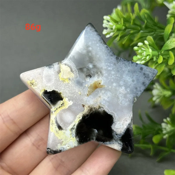 Black Cherry Blossom Agate-ToShay.org