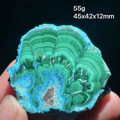 Green Chrysocolla Malachite Slice-ToShay.org