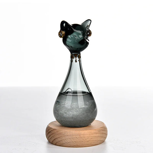 Cat Storm Bottle-ToShay.org