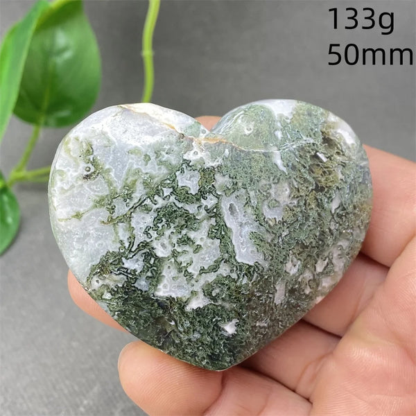 Green Aquatic Plant Agate-ToShay.org