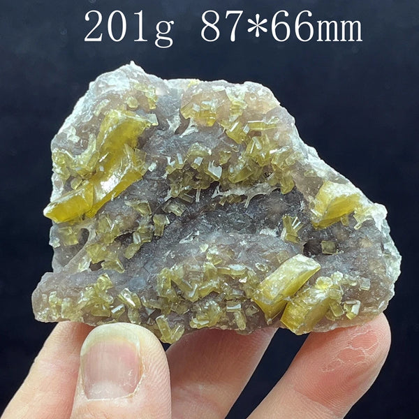 Yellow Diluent Cluster-ToShay.org