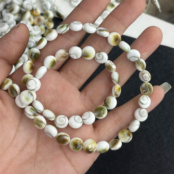 White Conch Shell Beads-ToShay.org
