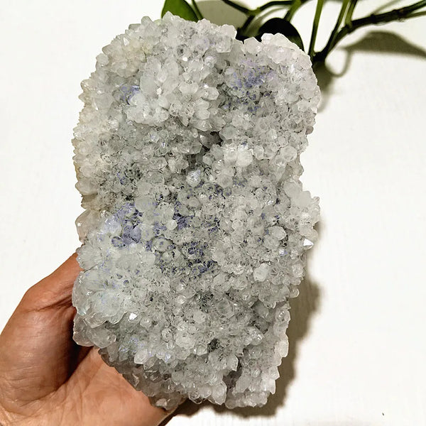Purple Chrysanthemum Fluorite Crystal-ToShay.org