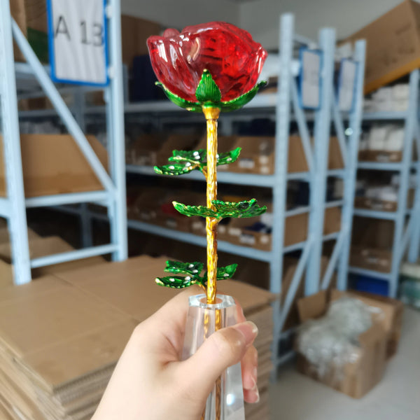 Rose Flower-ToShay.org