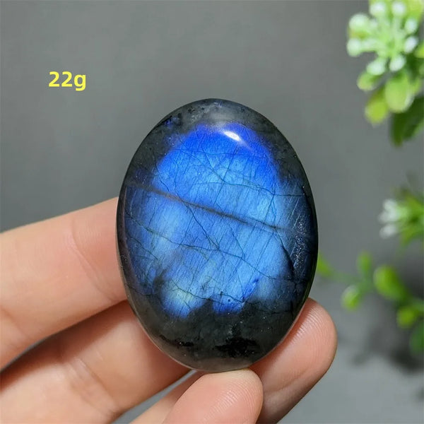 Blue Labrador Palm Stone-ToShay.org